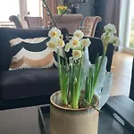 Nydelig Villa, Med Vanvittig Utsikt! Drammen