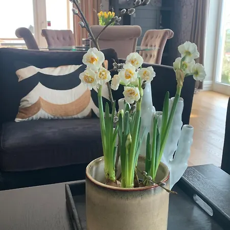 Nydelig Villa, Med Vanvittig Utsikt! Drammen
