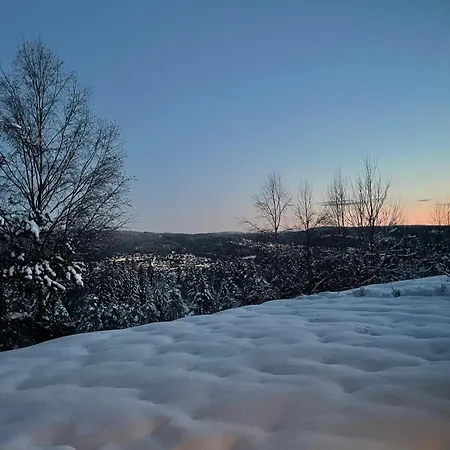 Nydelig Villa, Med Vanvittig Utsikt! Ντράμεν