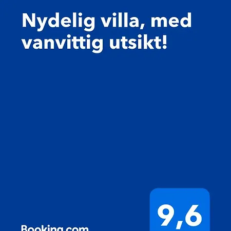 Nydelig Villa, Med Vanvittig Utsikt! * Drammen